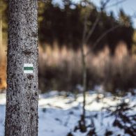 img_9678