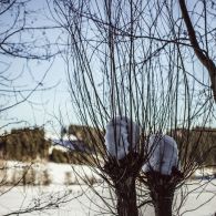 img_9683