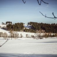 img_9684