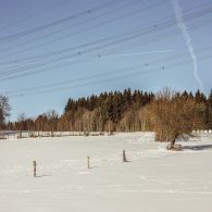img_9700